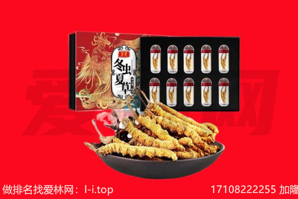 向阳区回收虫草.jpg